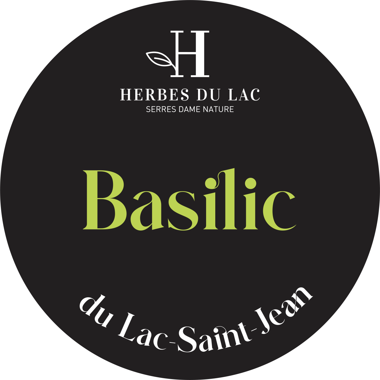 Herbes_du_lac_Manchon_Basilic-1