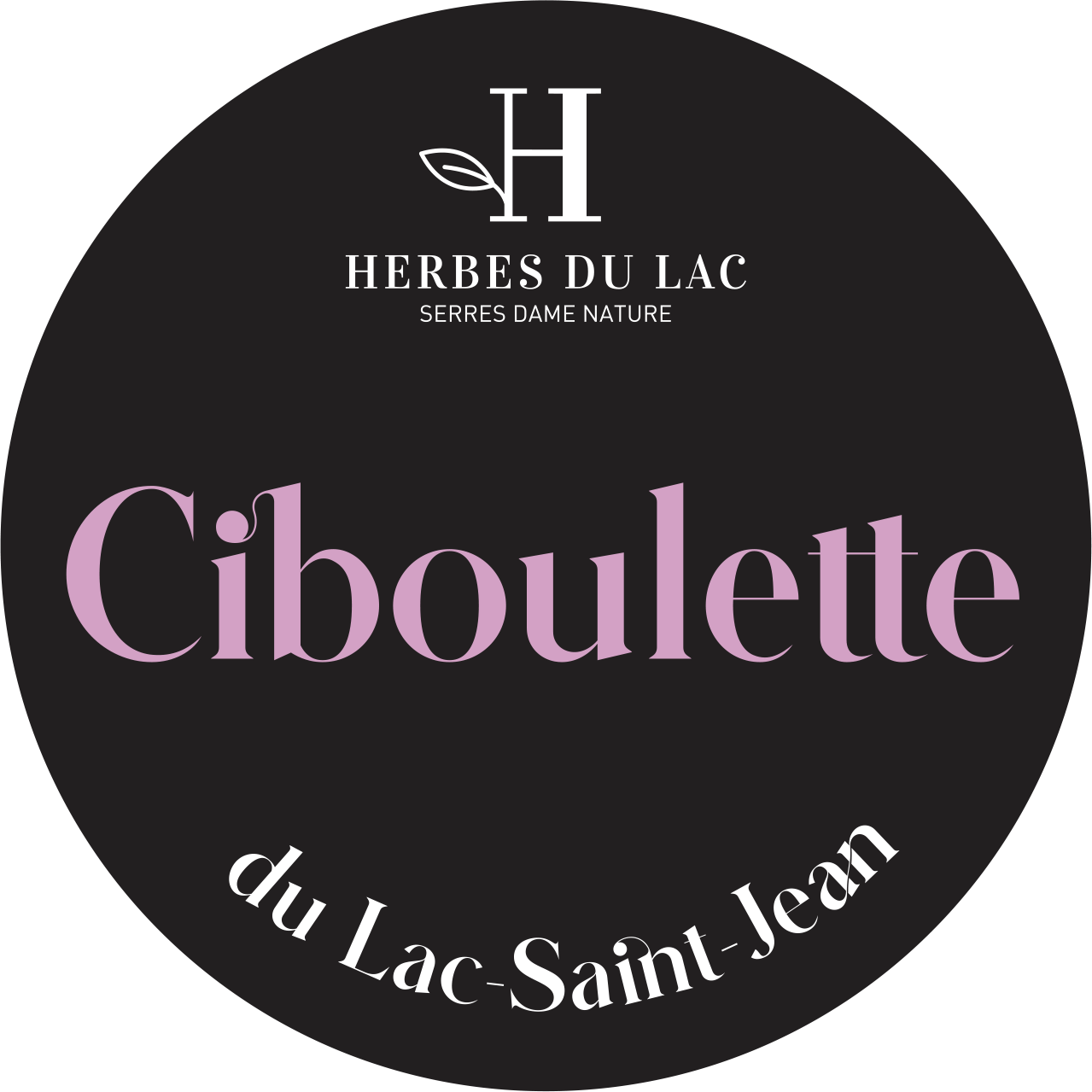 Herbes_du_lac_Manchon_Ciboulette-1