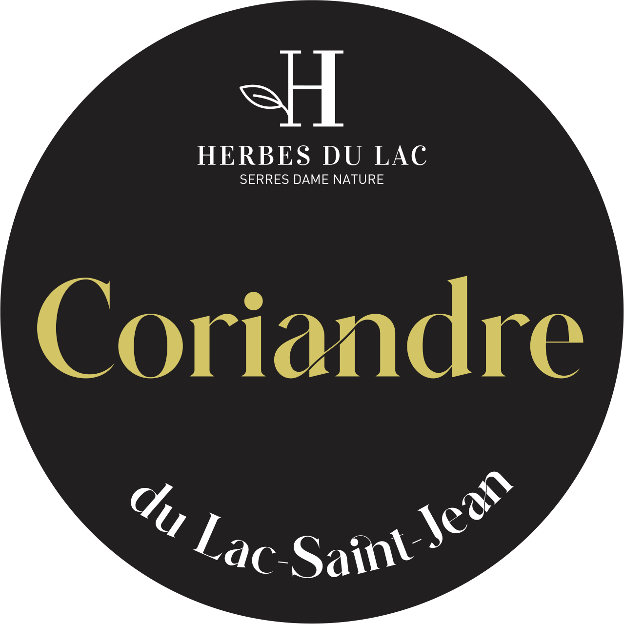 Herbes_du_lac_Manchon_Coriandre-1